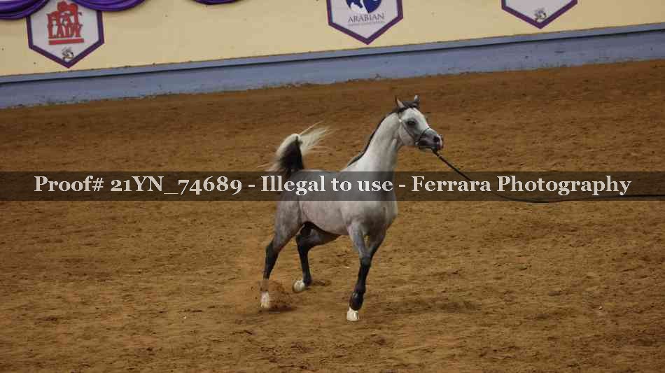 Proof 21YN_74689