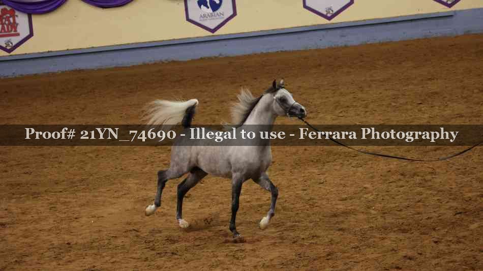 Proof 21YN_74690