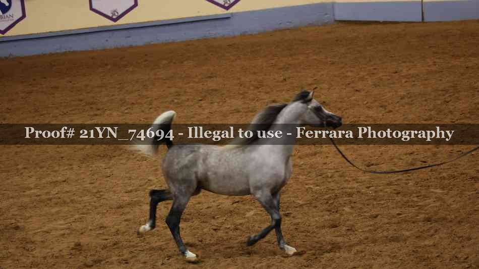 Proof 21YN_74694