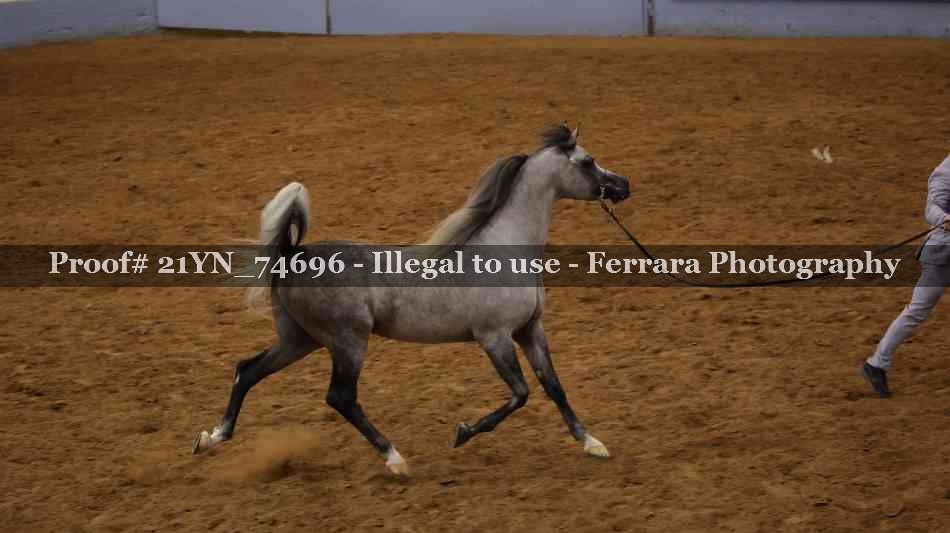 Proof 21YN_74696