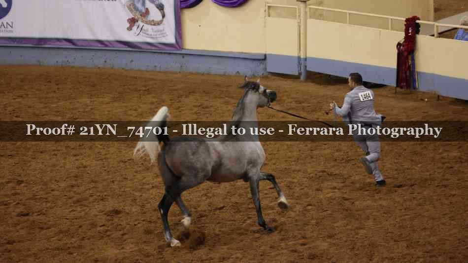 Proof 21YN_74701