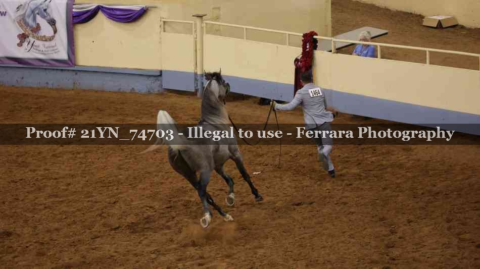 Proof 21YN_74703