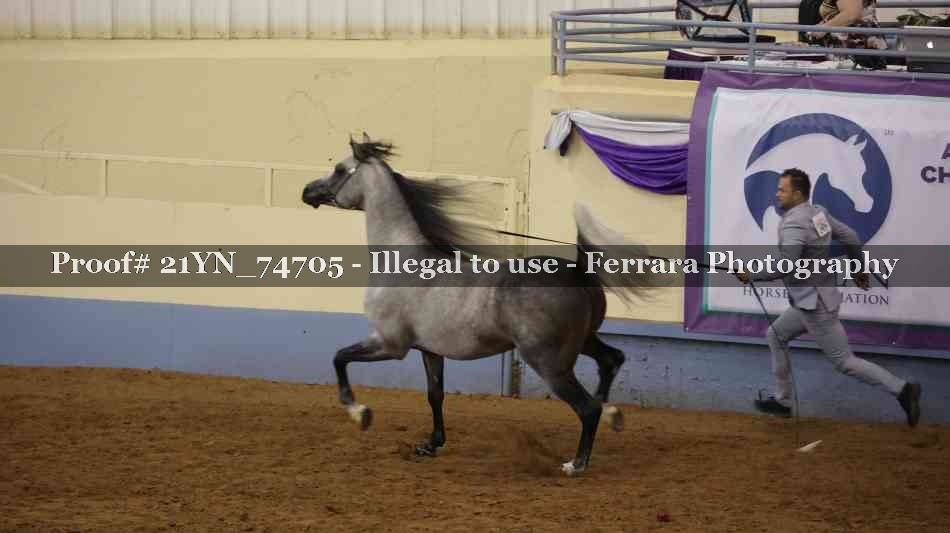 Proof 21YN_74705