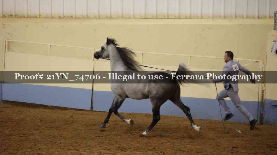 Proof 21YN_74706