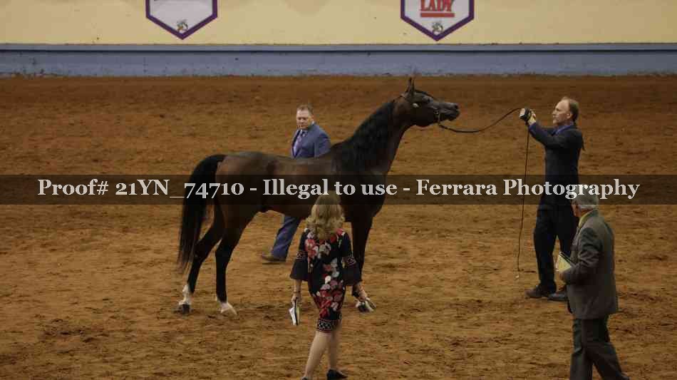 Proof 21YN_74710