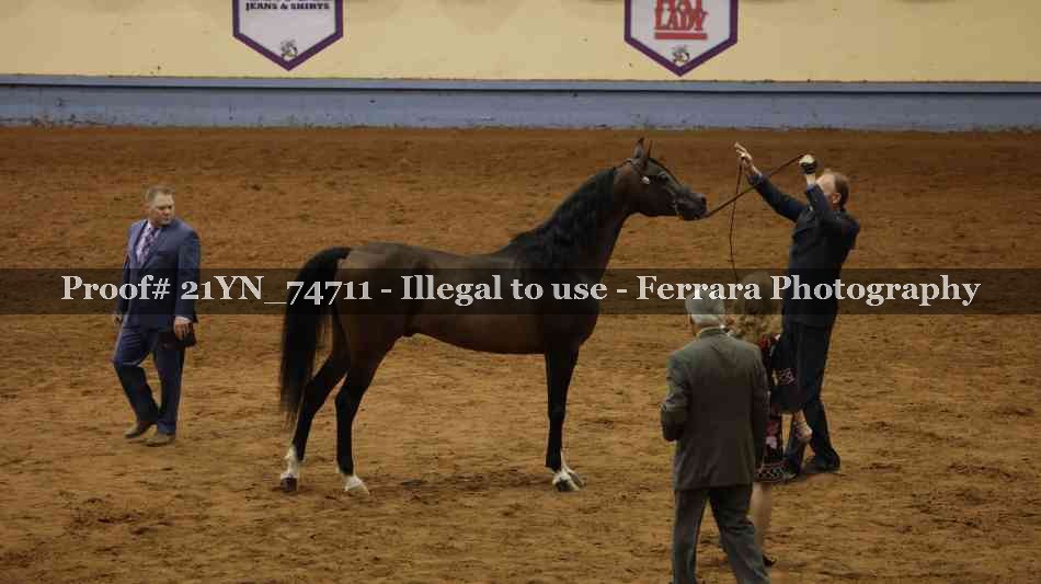 Proof 21YN_74711