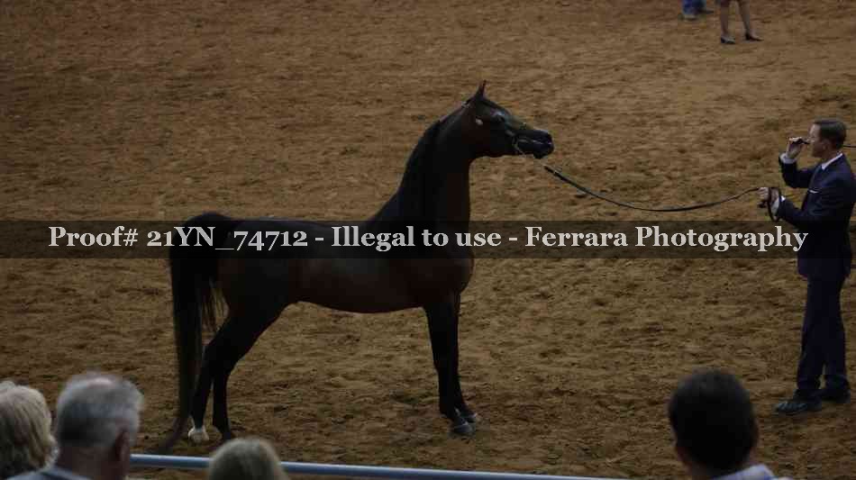 Proof 21YN_74712