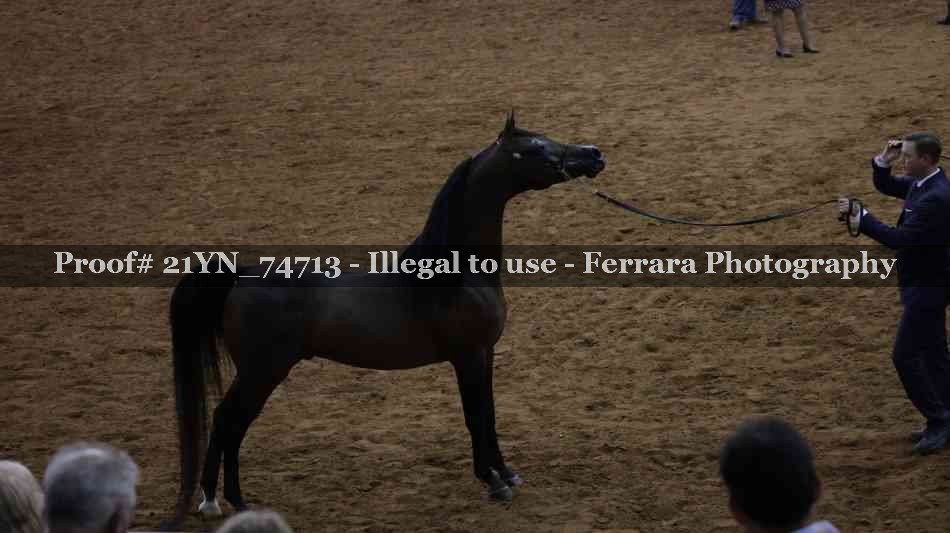 Proof 21YN_74713