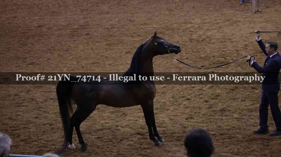 Proof 21YN_74714