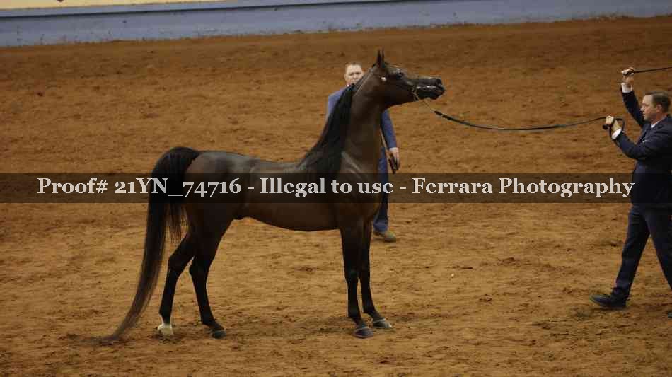 Proof 21YN_74716