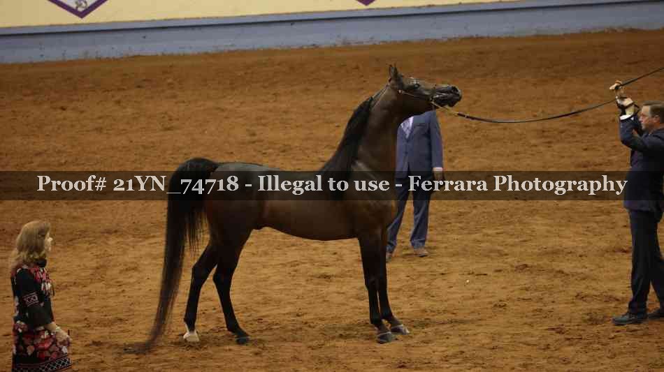 Proof 21YN_74718