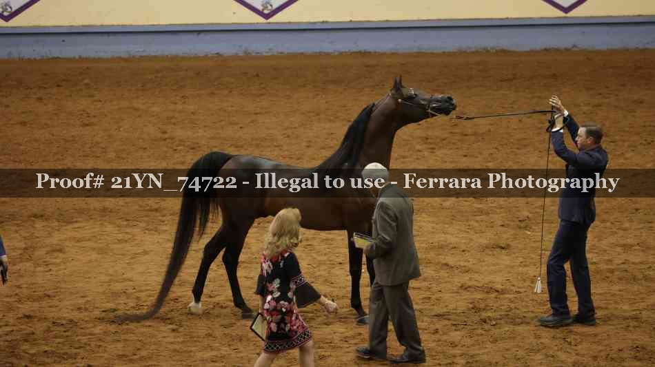 Proof 21YN_74722