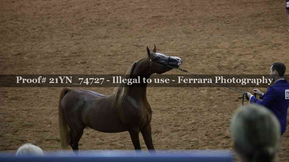 Proof 21YN_74727