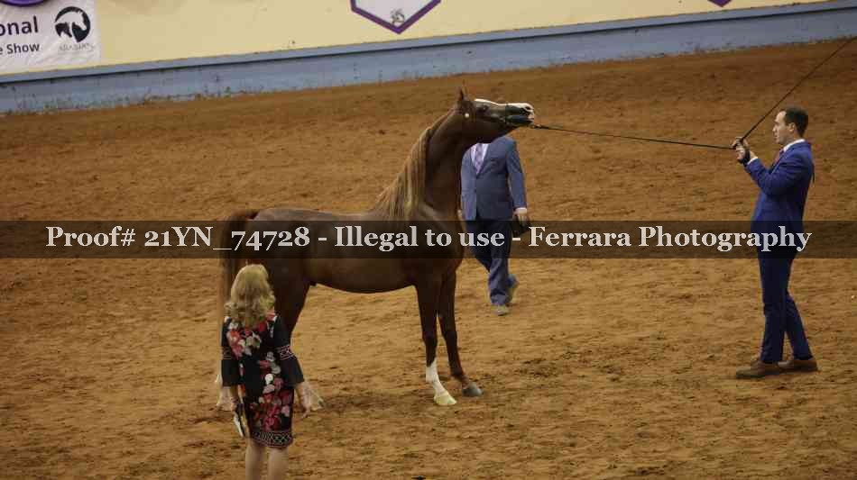 Proof 21YN_74728
