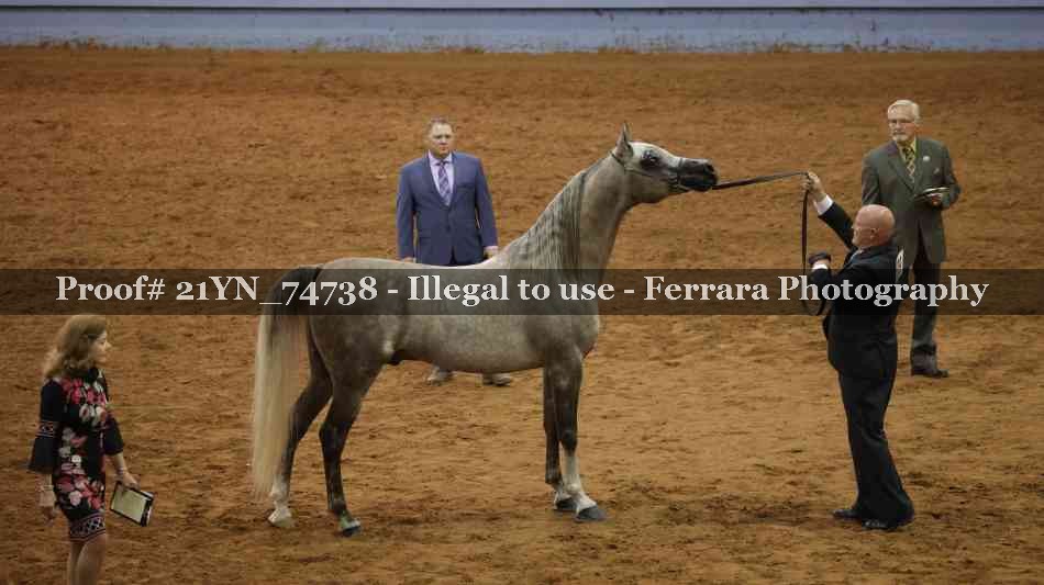 Proof 21YN_74738