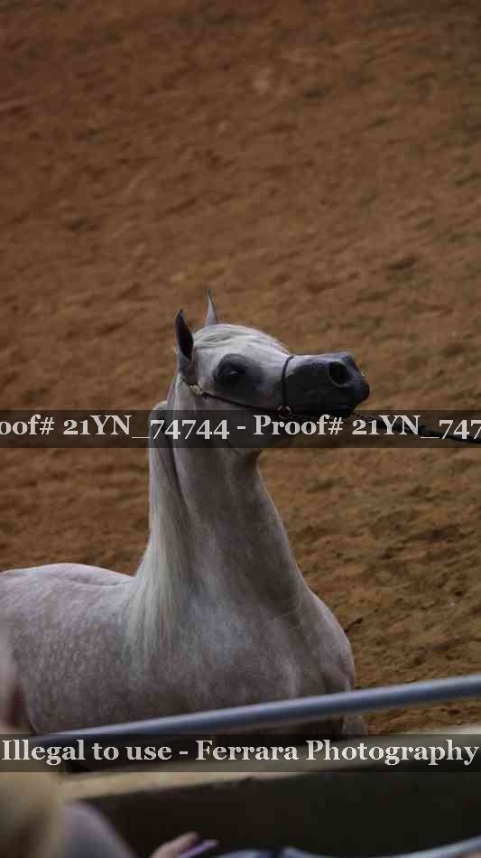 Proof 21YN_74744