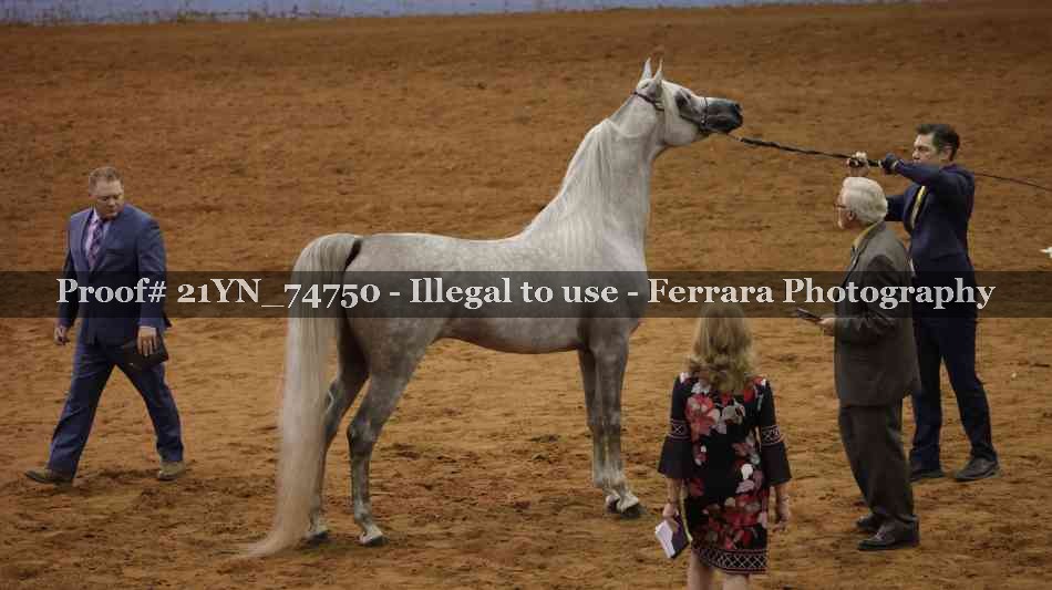 Proof 21YN_74750