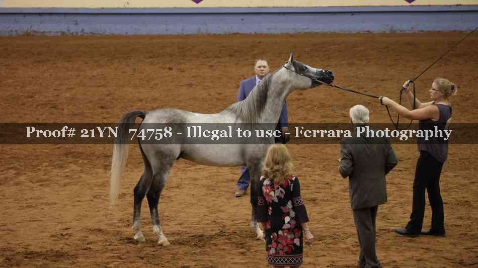 Proof 21YN_74758