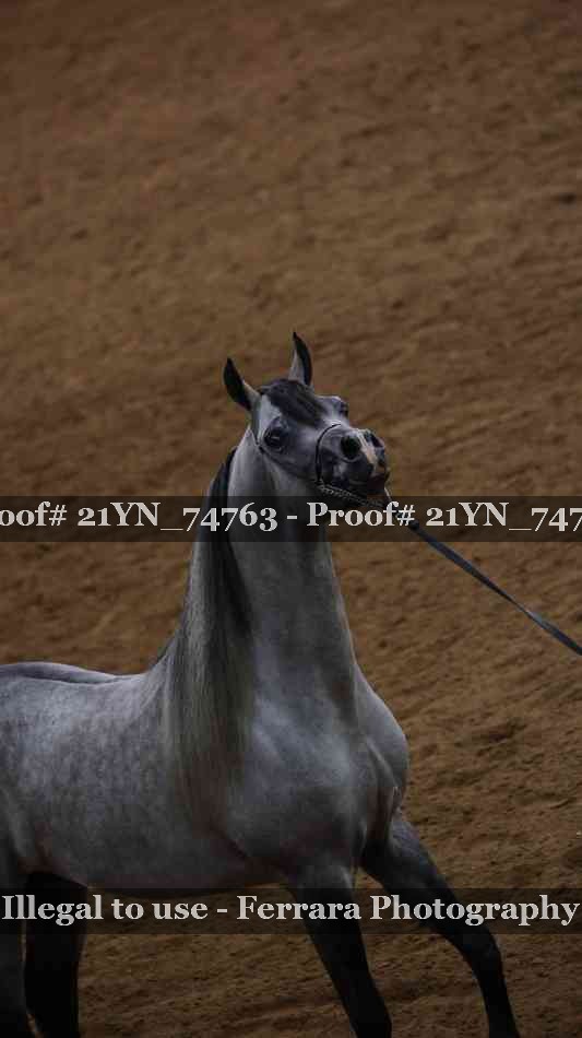 Proof 21YN_74763