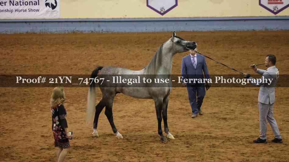 Proof 21YN_74767