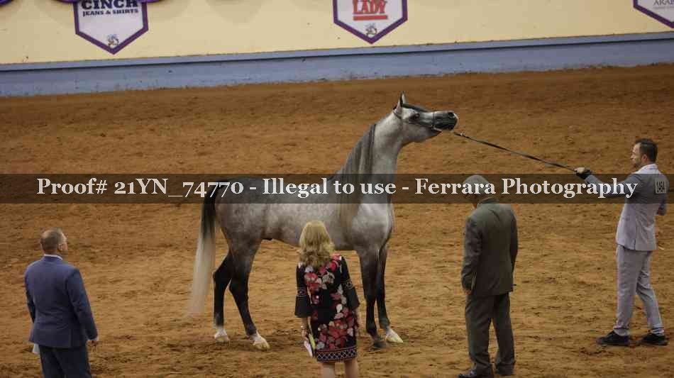 Proof 21YN_74770