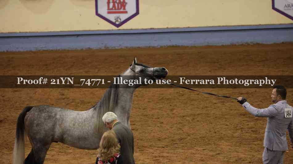 Proof 21YN_74771