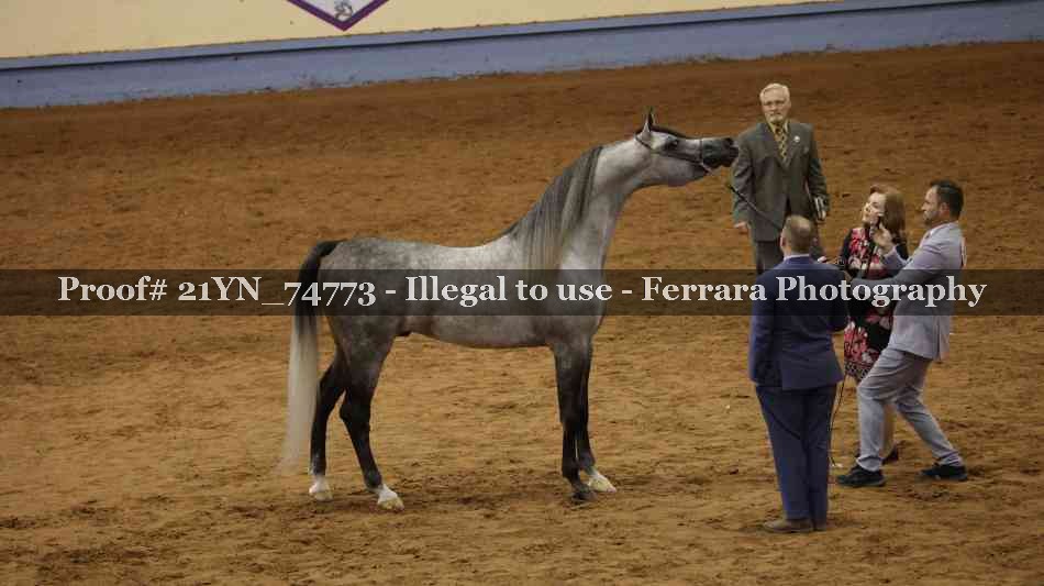 Proof 21YN_74773