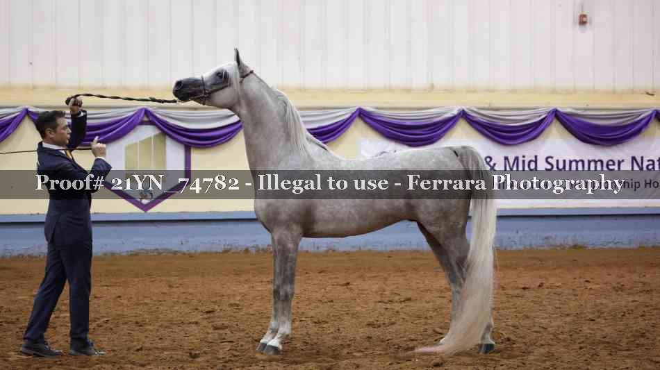Proof 21YN_74782