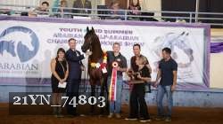 21YN_74803 proof