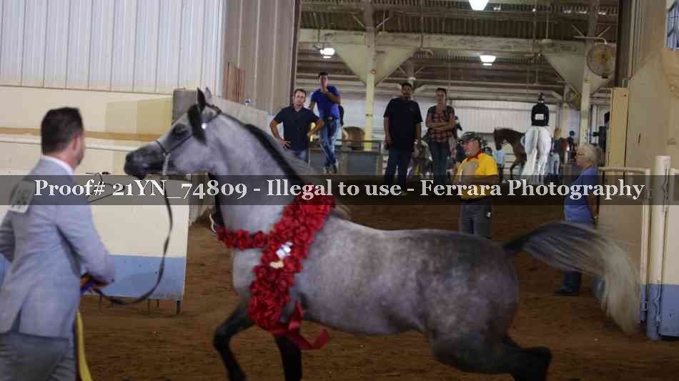 Proof 21YN_74809