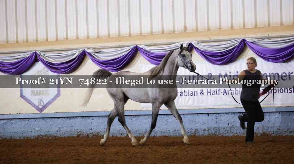 Proof 21YN_74822
