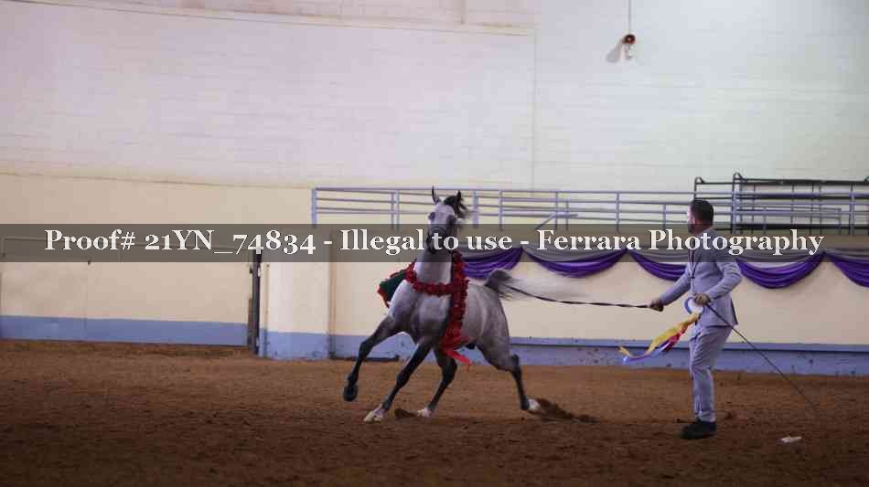Proof 21YN_74834