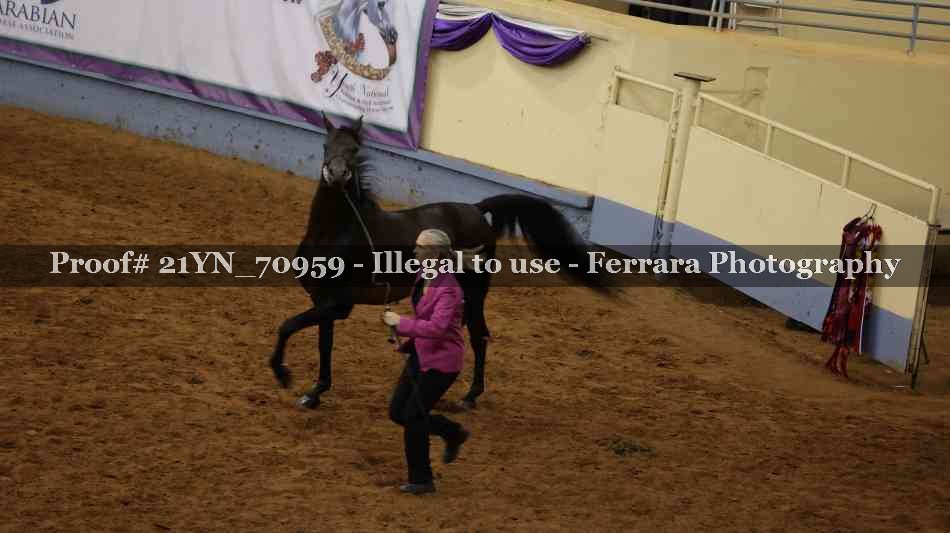 Proof 21YN_70959