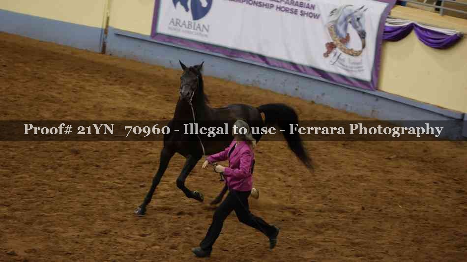 Proof 21YN_70960