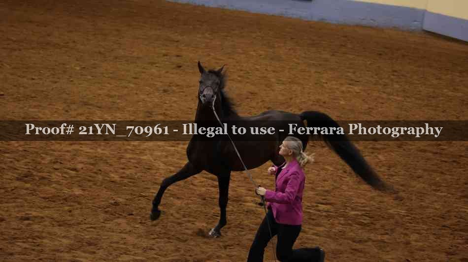 Proof 21YN_70961