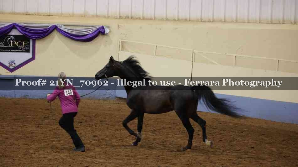 Proof 21YN_70962