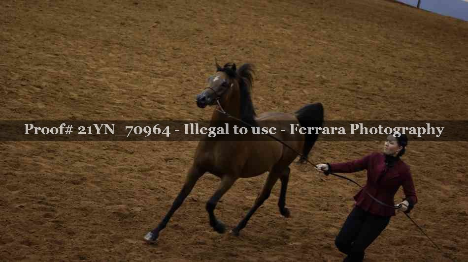 Proof 21YN_70964