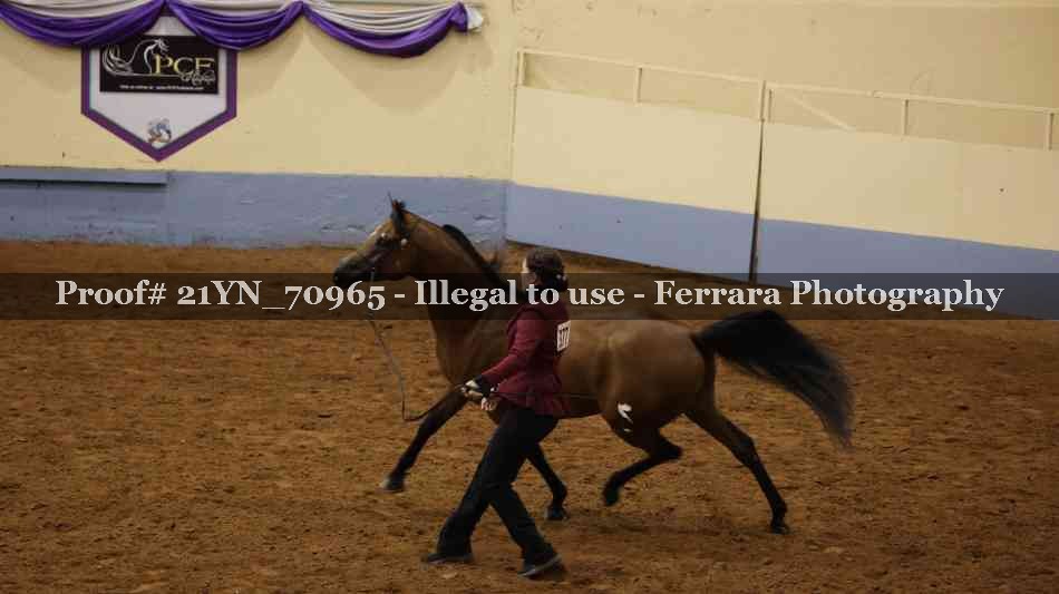 Proof 21YN_70965