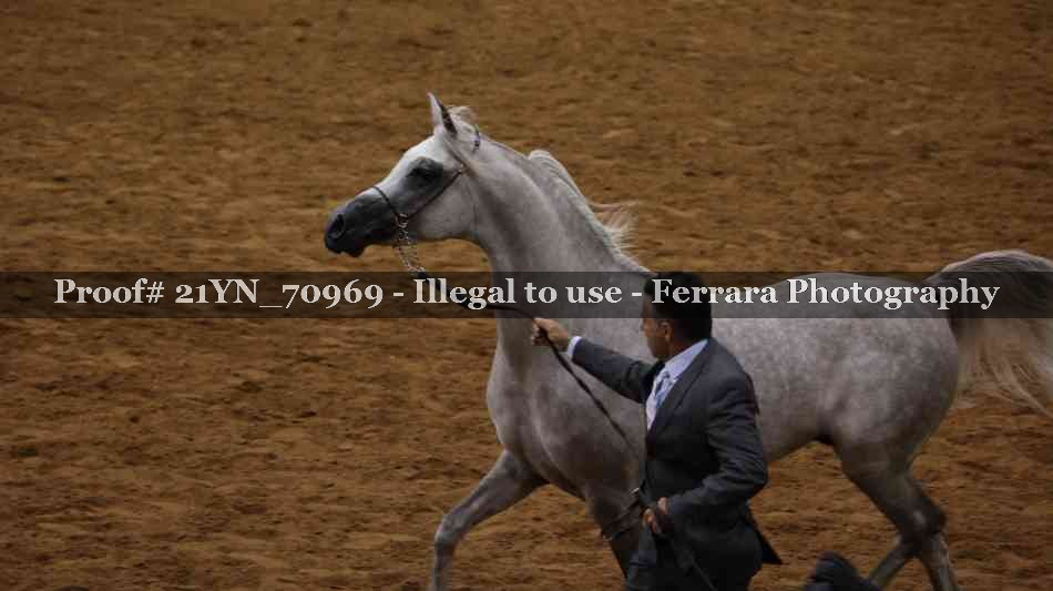 Proof 21YN_70969