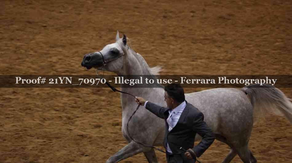 Proof 21YN_70970