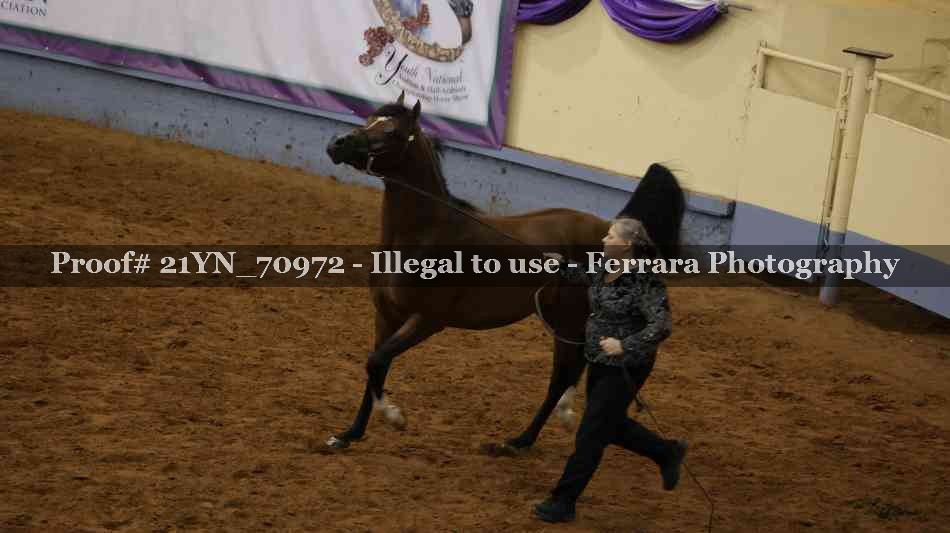 Proof 21YN_70972