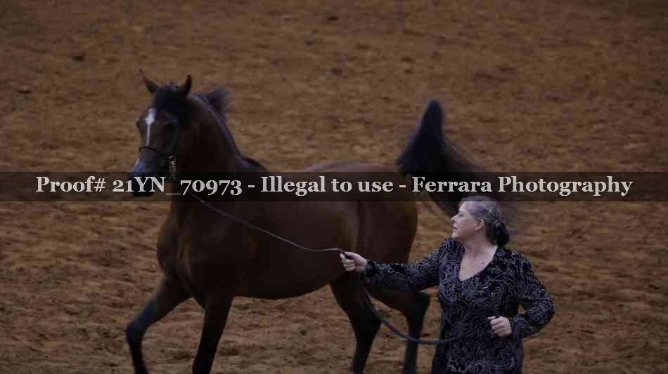 Proof 21YN_70973