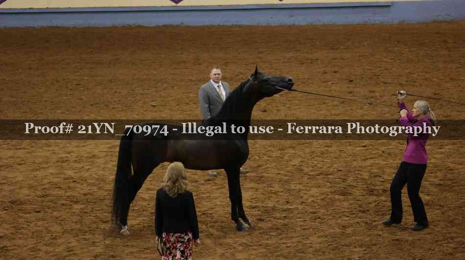 Proof 21YN_70974