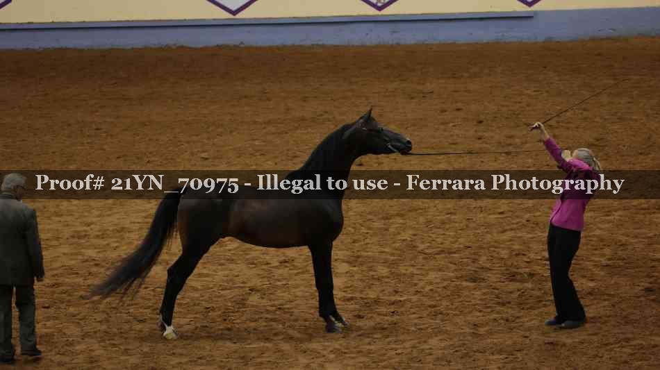 Proof 21YN_70975