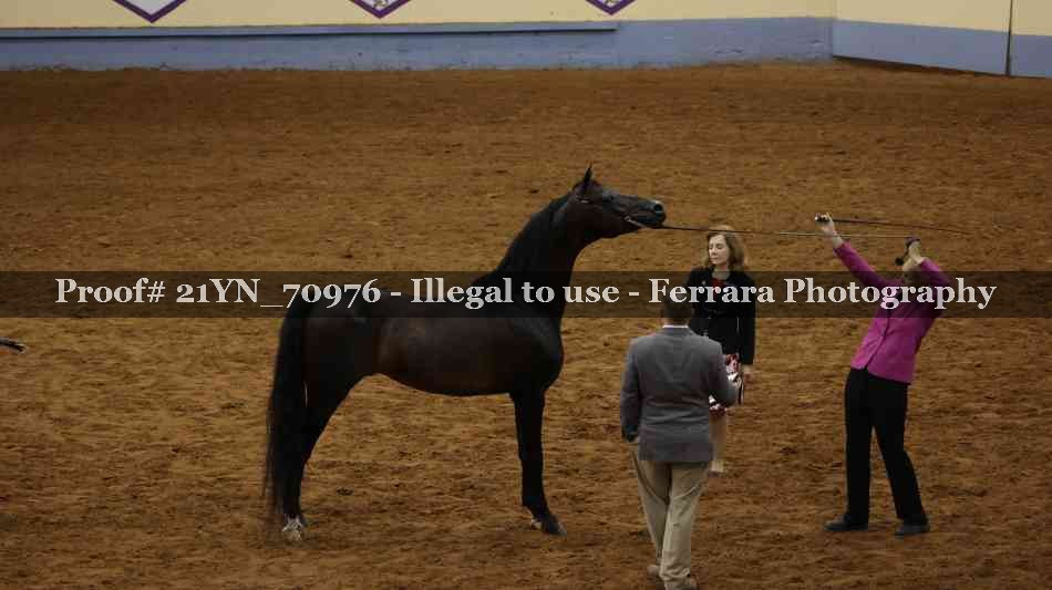 Proof 21YN_70976