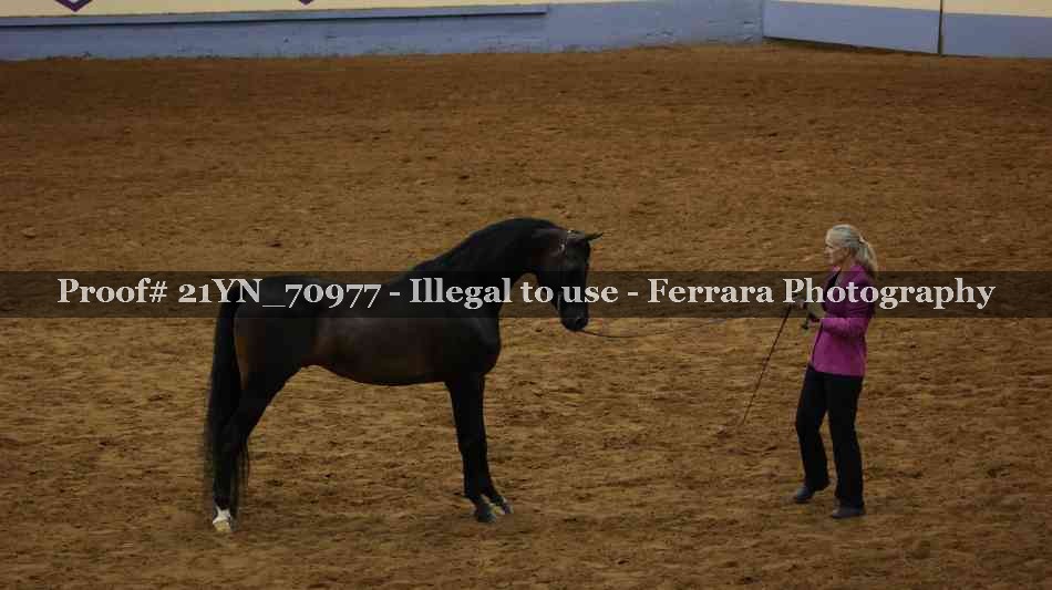 Proof 21YN_70977