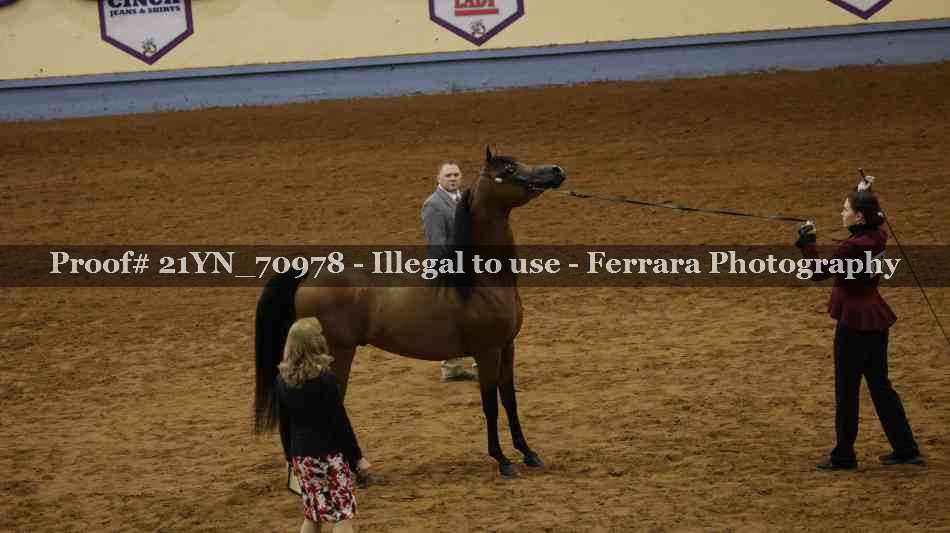 Proof 21YN_70978