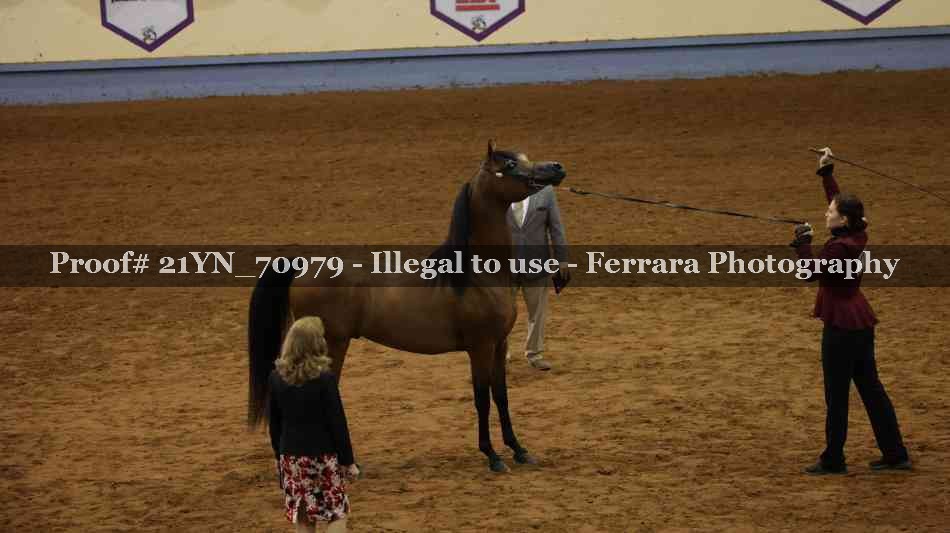 Proof 21YN_70979
