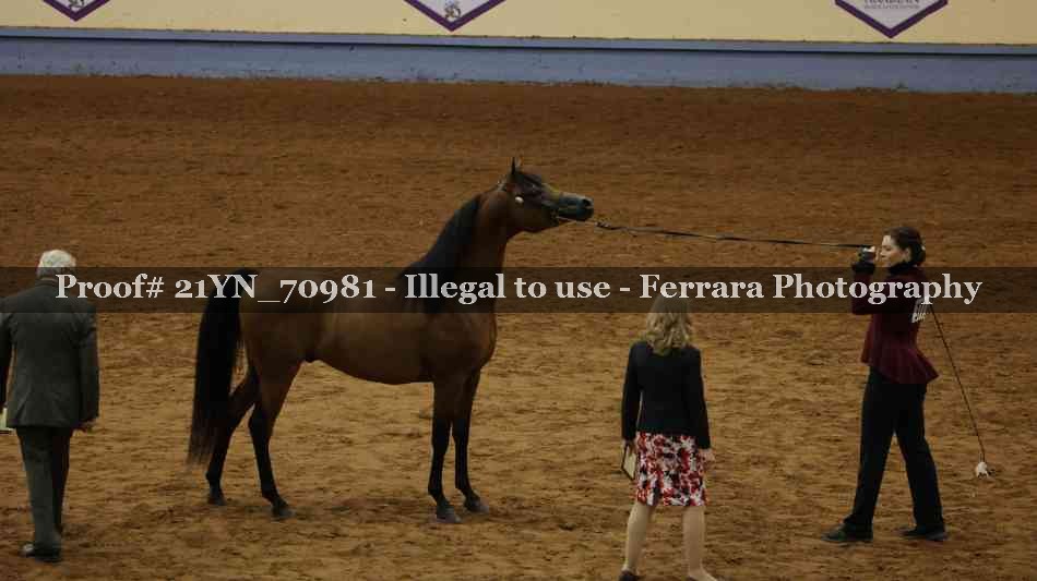 Proof 21YN_70981