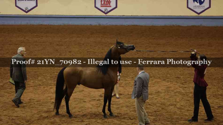Proof 21YN_70982